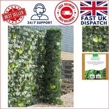 Instant Outdoor Privacy with 1m x 3m Ivy Leaf Garden Screening - Includes Ties