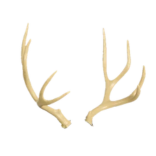 New Delta McKenzie Pro Series Mule Deer Antlers For Target (A-3)