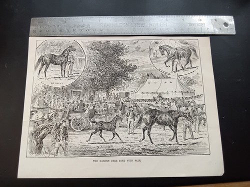 1890s Marden Deer Park Stud Sale Horse Racing Antique Print Antique Victorian