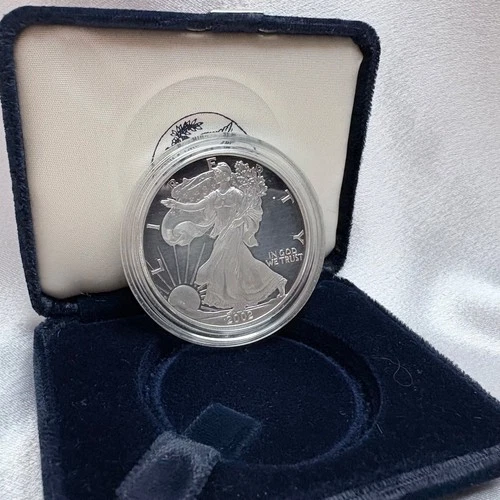 2002 1 oz .999 Fine Silver American Eagle Proof Coin NO CoA [C20]