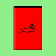 High Grade Deep Stretch 2250mAh Rechargeable Li_ion Battery for LG Lucky L16C