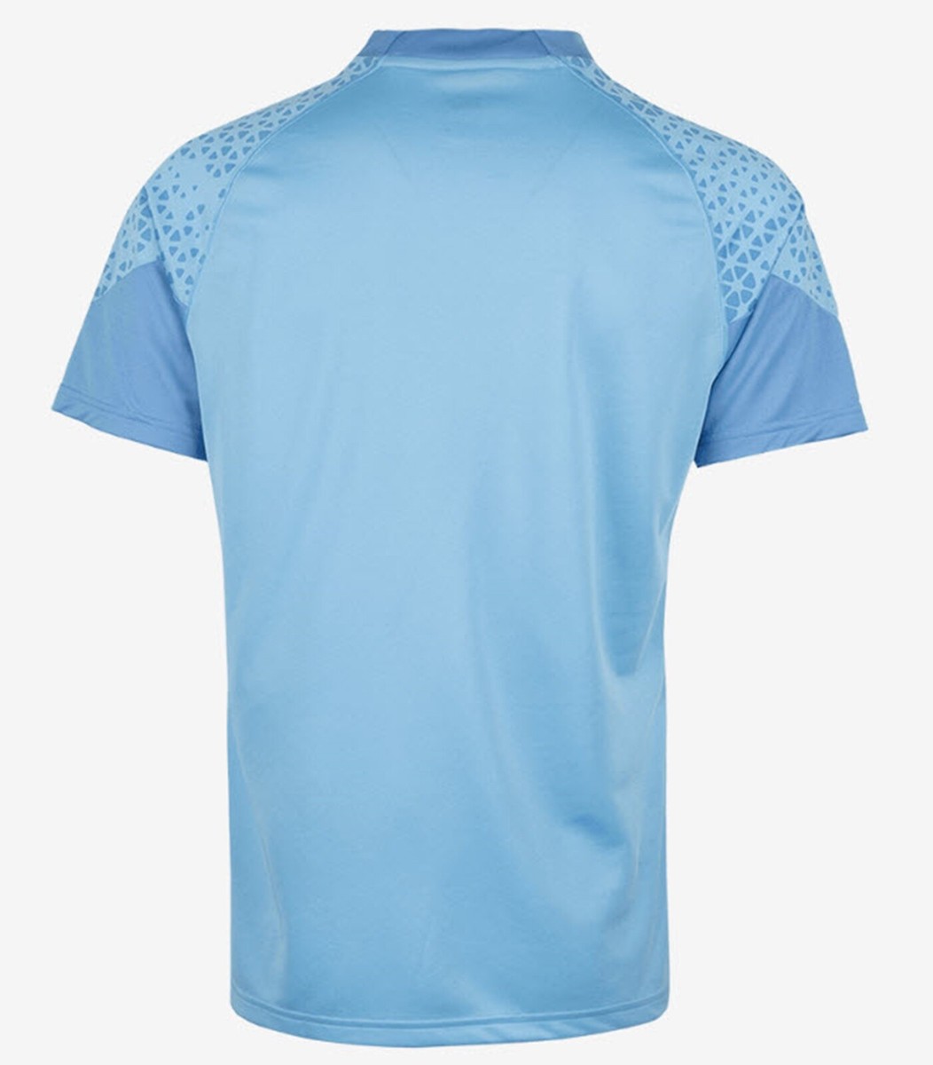 PUMA 水色 サッカーシャツ オーセンティック PUMA Men Team-Cup Training Shirts Athletic Light-blue Tee Shirt