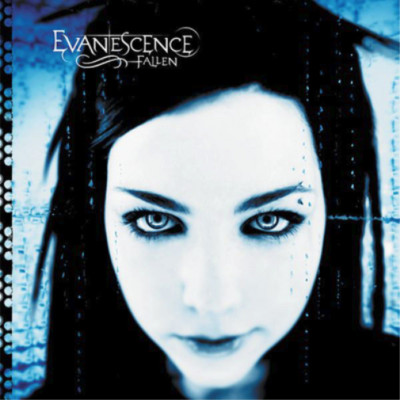 Evanescence Fallen (Schallplatte) 12'' Album