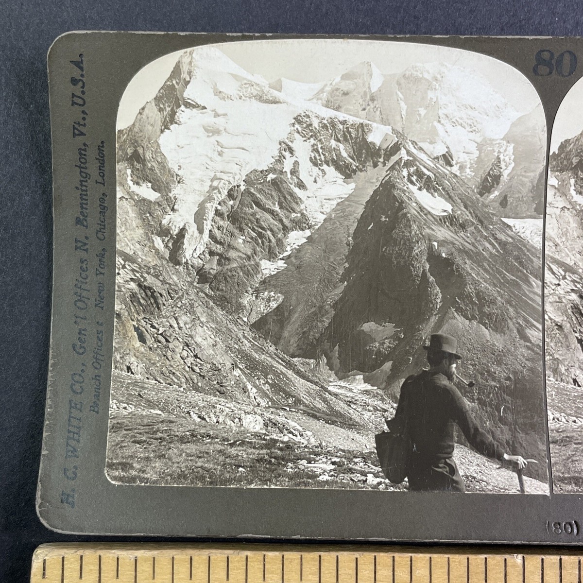 Mount Fox and Mount Dawson British Columbia Stereoview Antique