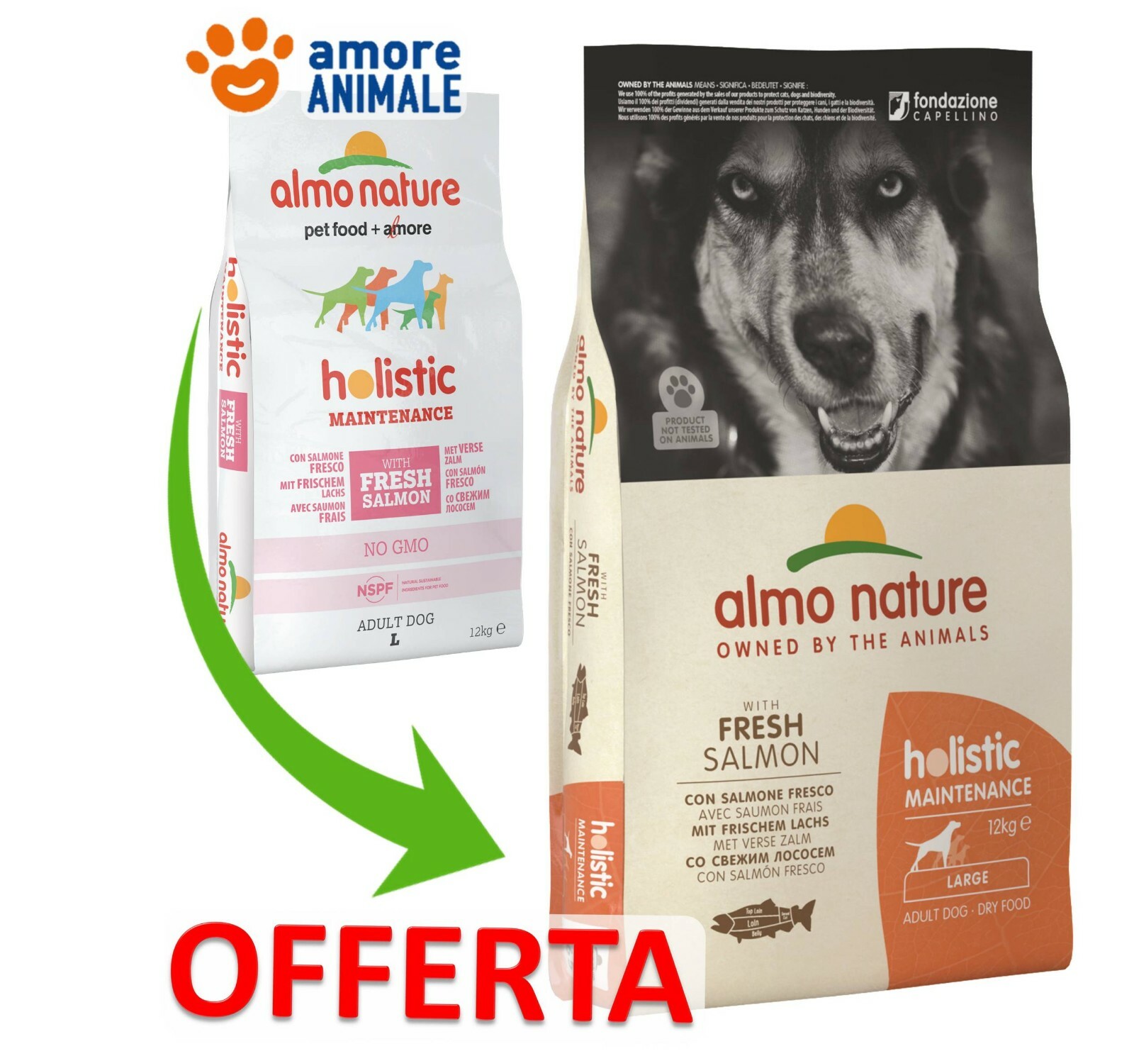 Crocchette Per Cani Adulti Almo Nature Holistic Maintenance M &ndash; Con Pollo Fresco, 12 Kg, Senza Conservanti Artificiali, Alimento Completo E Bilanciato