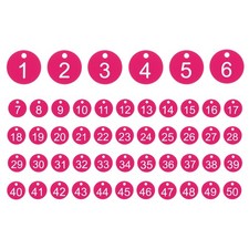 50PCS Number Tags 1-50, Number Key Tags Plastic Numbered Tags, Rose Red