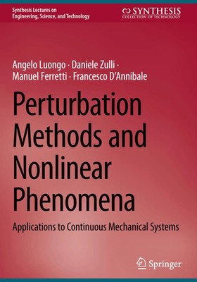 Angelo Luongo (u. a.) | Perturbation Methods and Nonlinear Phenomena | Buch | xi