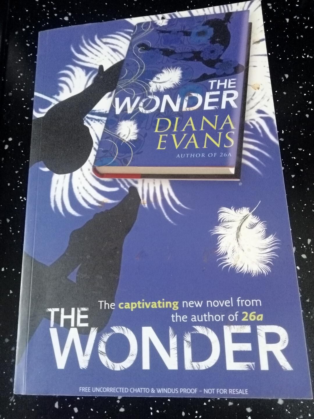 THE WONDER by DIANA EVANS- PUB -CHATTO & WINDUS - 2009 - * PROOF *