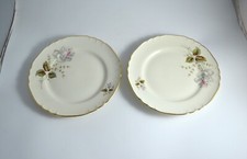 N5494 SET COPPIA 2 PIATTI PIANI IN PORCELLANA RICHARD GINORI SERVITO SERVIZIO