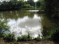 Photo 6x4 Fish pond at Fishpond House, Beechwood Lane Cooksbridge  c2010