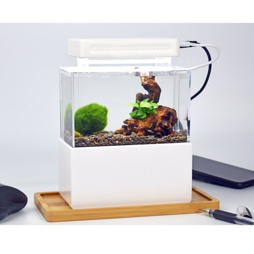1L Mini Aquarium Komplett set Dekoration mit LED Beleuchtung Pumpe & Filter - Bild 11 von 24