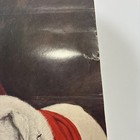 Rare Vintage Georgia Bulldogs Poster  — photo 4