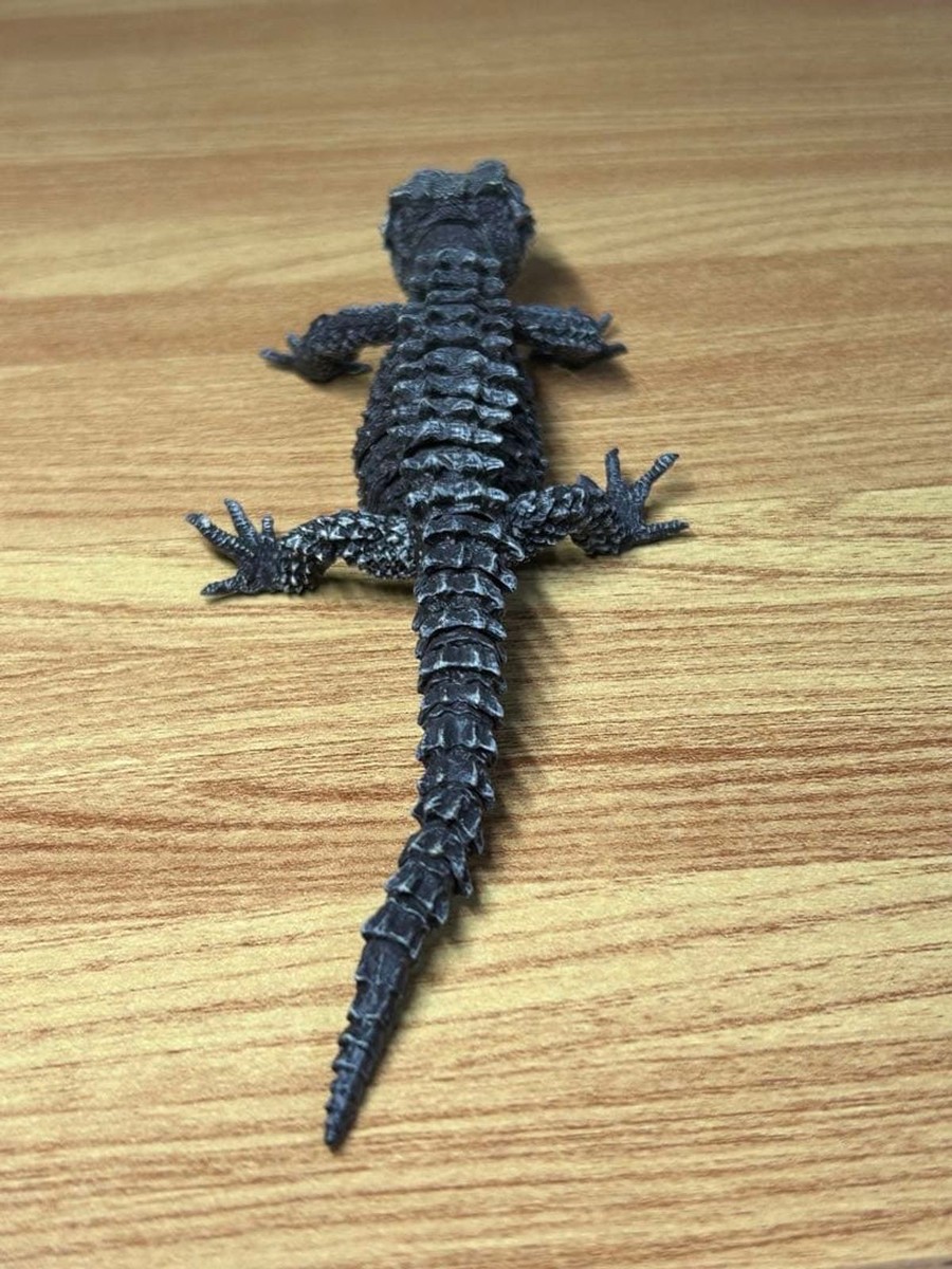 Ikimono Daizukan Advance Akame Kabuto Tokeh Lizard Figure Toy | eBay