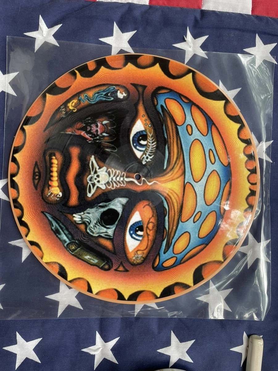 Sublime LP Picture Disc Vinyl Records | eBay