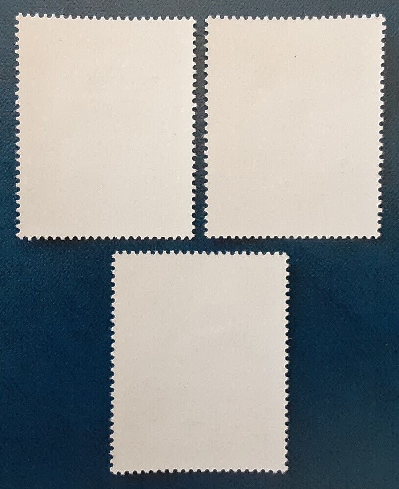 Foto 2 di 3