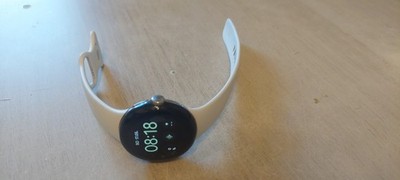 google pixel smart watch..