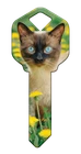 Siamese Cat House Key - Cats - Kittens - Suits LW4