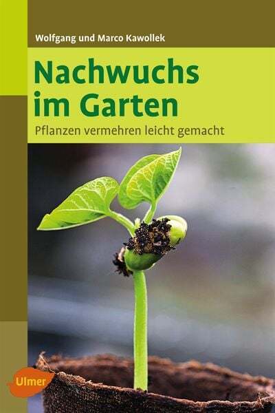 Thumbnail - Nachwuchs Garten