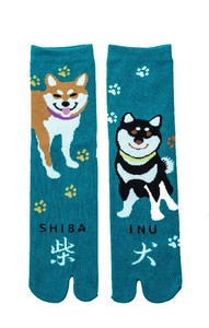 Details About Shiba Inu Socks Up Japanese Thong Socks Teal New Unisex Puppy Dog Fashion
