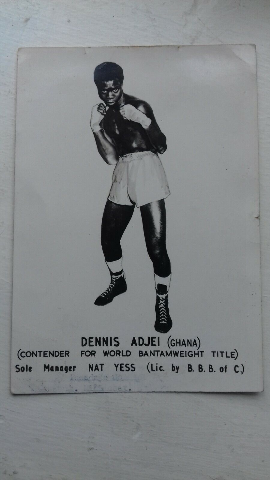 DENNIS ADJEI   Boxing  Promo Showcard Boxing Memorabilia,