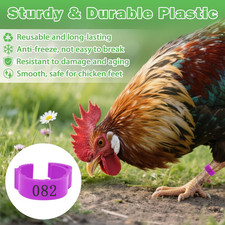100 Pcs Adjustable Chicken Leg Bands Tags, Colorful Readable Numbered PVC Ide...