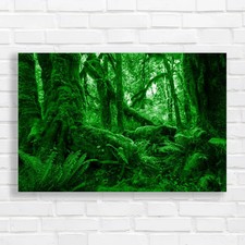Rain Forest Scene Canvas Print Large Picture Wall Art