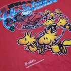 Foto 10 di 10