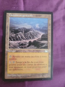 Tropical FBB イタリア語 黒枠 MTG】Tropical 【FBB 黒枠イタリア語版