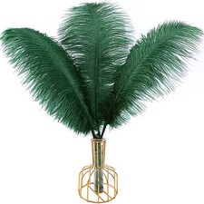 Blackish Green Ostrich Feathers 12pcs Large 14-16 Inch for Decorations