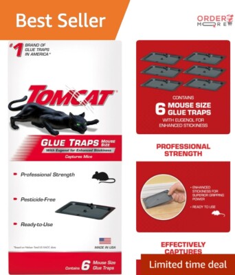 Compact & Effective Mouse Traps   6 Pesticide-Free Glue Traps for Quick Action