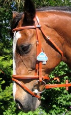 STUBBEN 3000 Limerick Split Head Gepolstert Deutsches Leder Feindressur Trense 5/8"