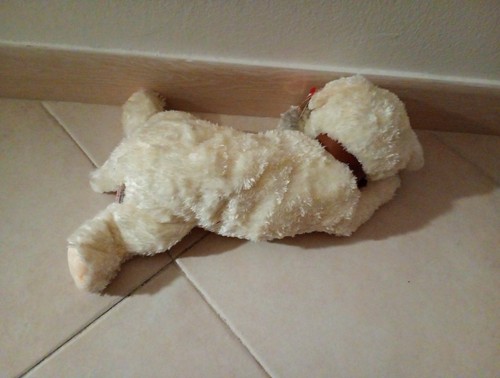 Ty Classic Tidbit Ivory Cream White Puppy Dog 2001 Plush 12" Buddy Brown Collar - Picture 3 of 5