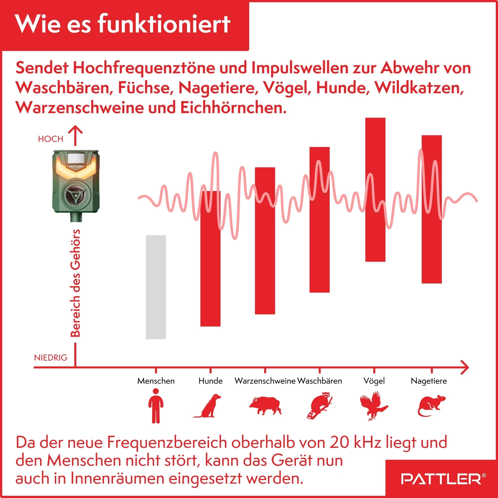 Bild 4 von 8
