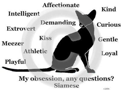 Siamese Cat My Obsession, Any Questions? T-shirt Choice of size and color 