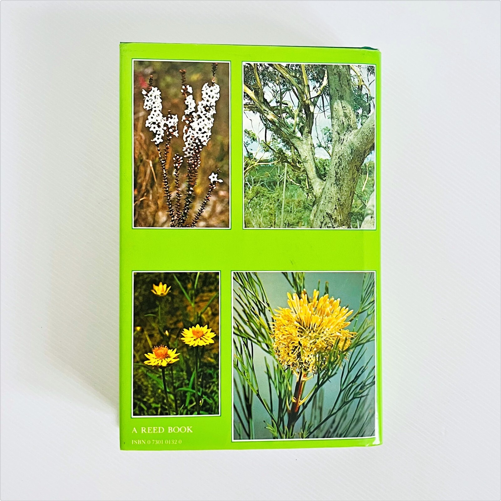 Flora Of The Sydney Region By N. C. W. Beadle, O. D. Evans & R. C. Carolin 19 9780730101321 eBay