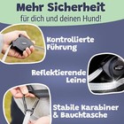 Bild 5 von 8