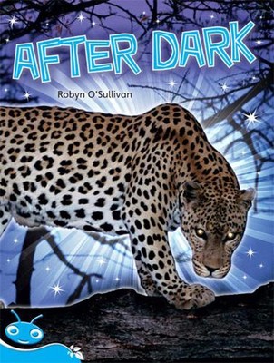 Bug Club Level 18 - Turquoise: After Dark (Reading Level 18/F&P Level J) by Roby