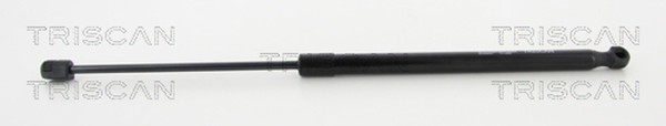 Triscan Heckklappen DäMpfer Gasfeder Kofferraum 8710 38237 FüR CitroËN DS4 Hdi-image