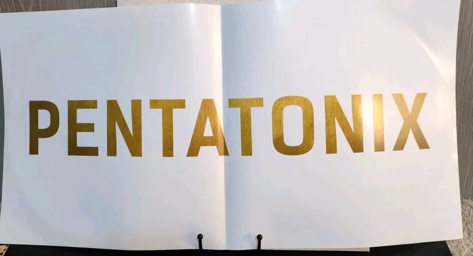 Pentatonix – A Pentatonix Christmas 2xLP, Deluxe, White Viny (B&N, TESTED,WORKS) - Image 4 of 4