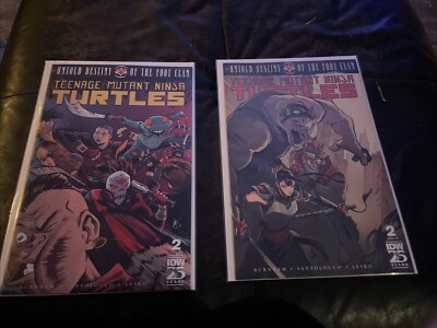 Teenage Mutant Ninja Turtles Untold Destiny of the Foot Clan #2 Cover B And 1:10