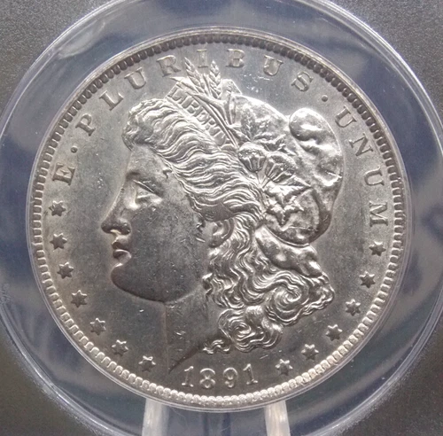 1891 "CC" Morgan SILVER Dollar *SPITTING EAGLE* VAM-3 $1 ANACS MS60 #979 ECC&C