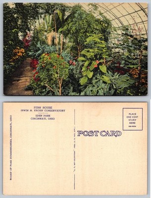 Krohn Conservatory Cincinnati Ohio Fern House Art-Colortone Linen Postcard