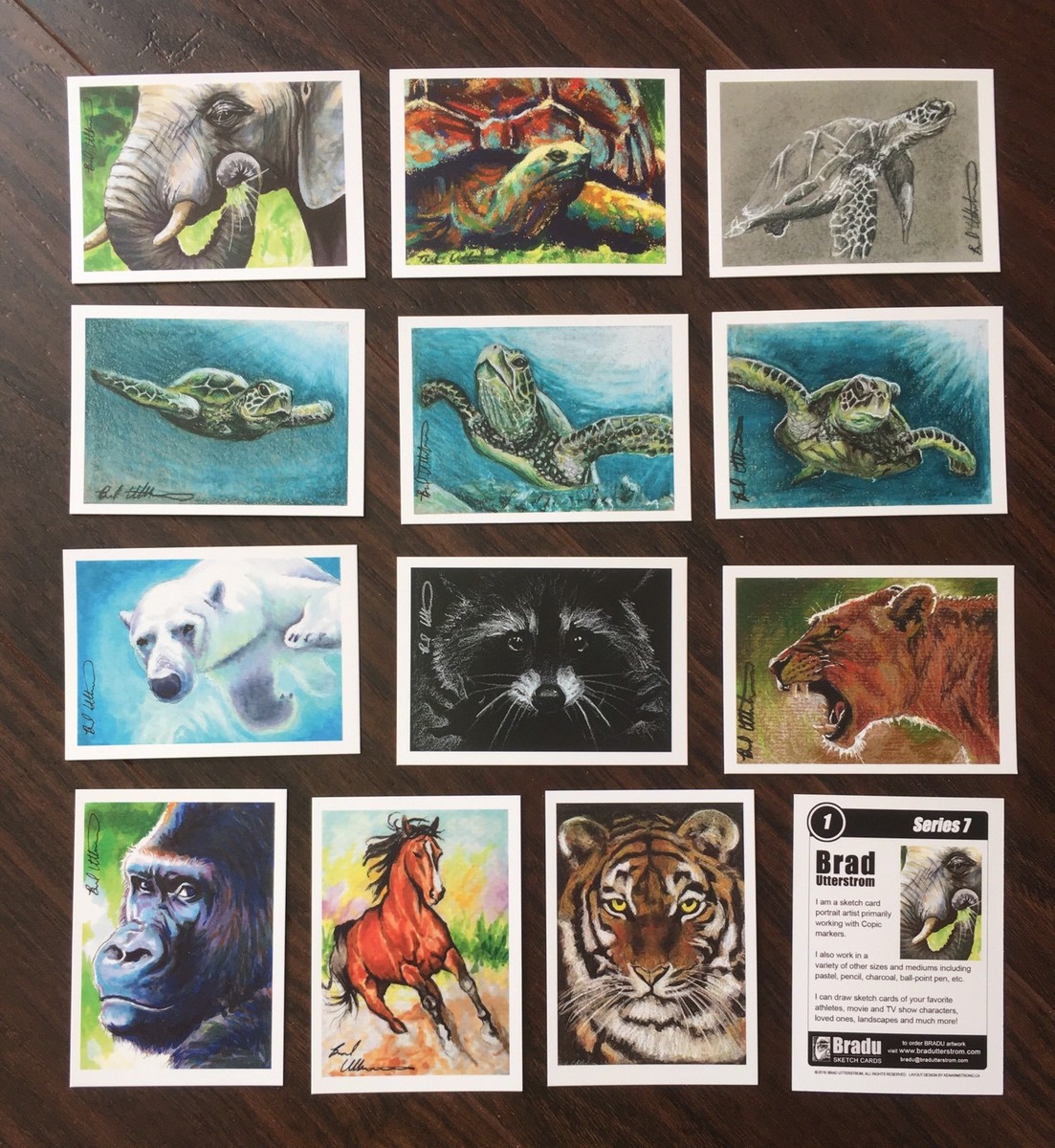 Animal Wildlife 12 Card sketch card Aceo Artist Trading Card Set