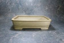 Genuine Japanese Bonsai  pot  Shibakatsu  fro...