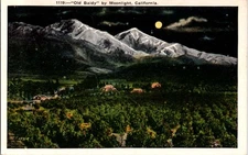 Los Angeles California CA : PANORAMIC SCENE d/24 BF2942