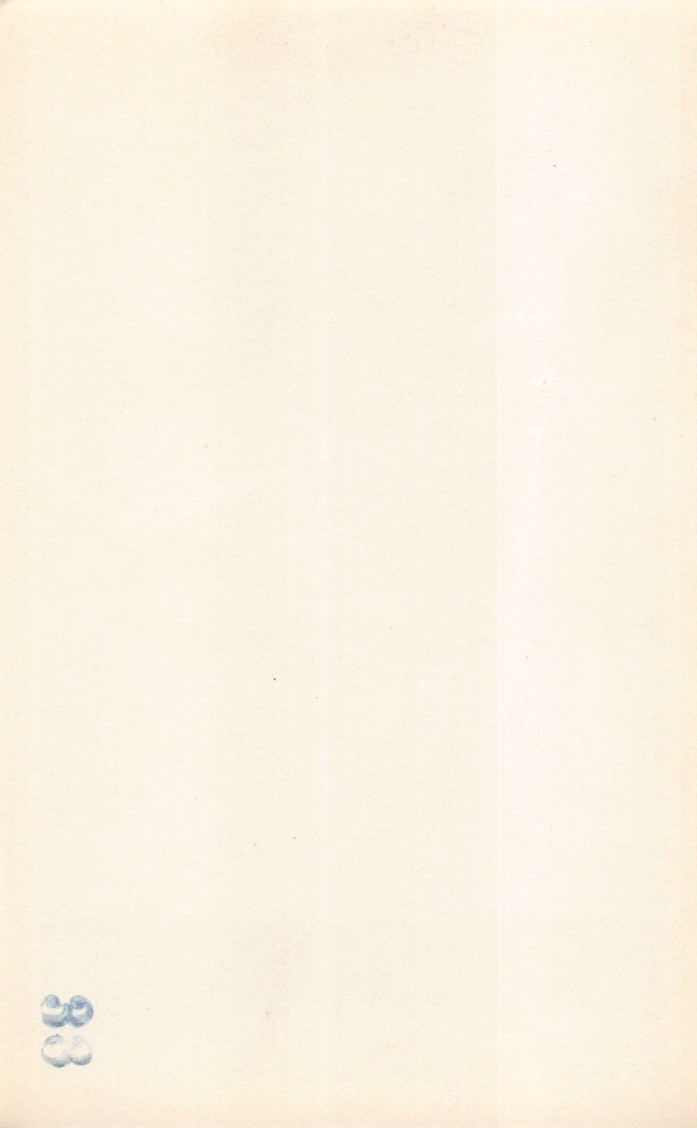 Foto 11 di 17