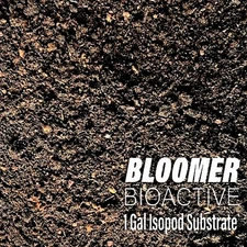 Isopod / Bioactive Substrate 1 Gal - Terrarium/vivarium Ready - Heat Treated