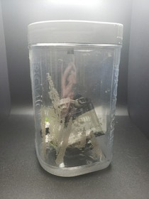 Lego Bionicle Nuhvok-Kal 8573 Incomplete