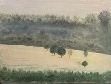 Original Oil Painting Landscape Taj Mahal View from Agra Fort  12"X16"
