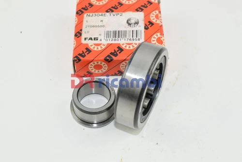 CUSCINETTO A RULLI CILINDRICI CAMBIO PER BMW 1602 FAG NJ304 ETVP2 - D. 20x52x15 - Bild 2 von 5